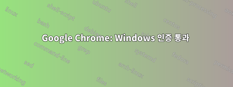 Google Chrome: Windows 인증 통과