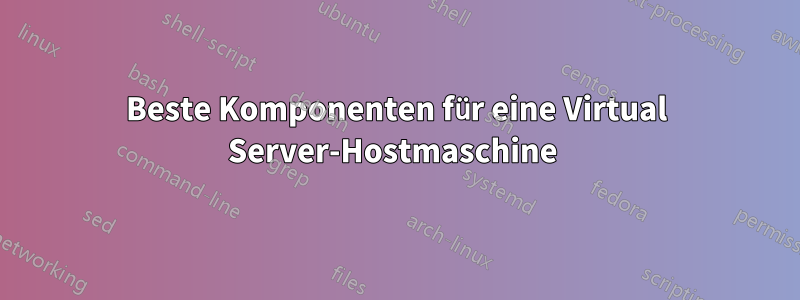 Beste Komponenten für eine Virtual Server-Hostmaschine 