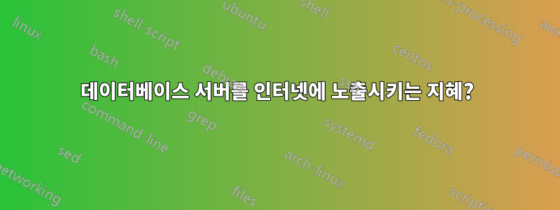 데이터베이스 서버를 인터넷에 노출시키는 지혜?