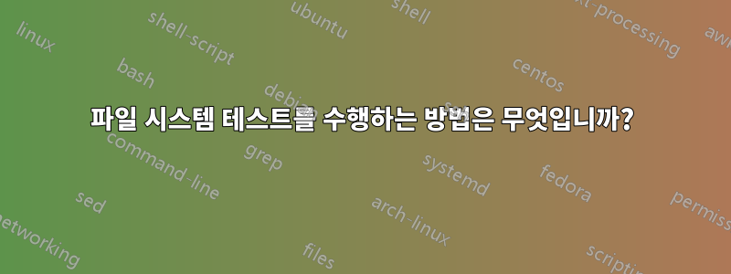 파일 시스템 테스트를 수행하는 방법은 무엇입니까?