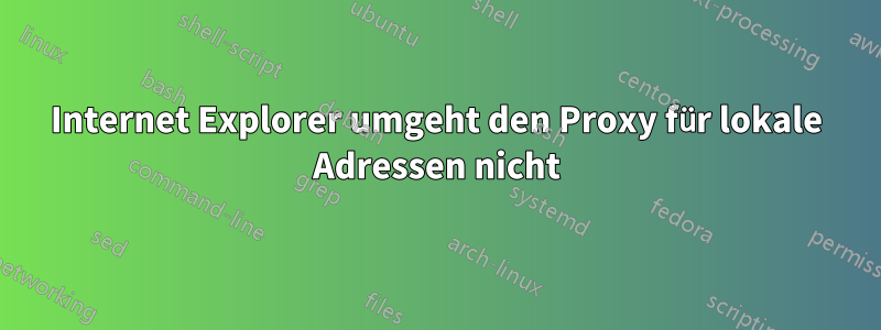 Internet Explorer umgeht den Proxy für lokale Adressen nicht