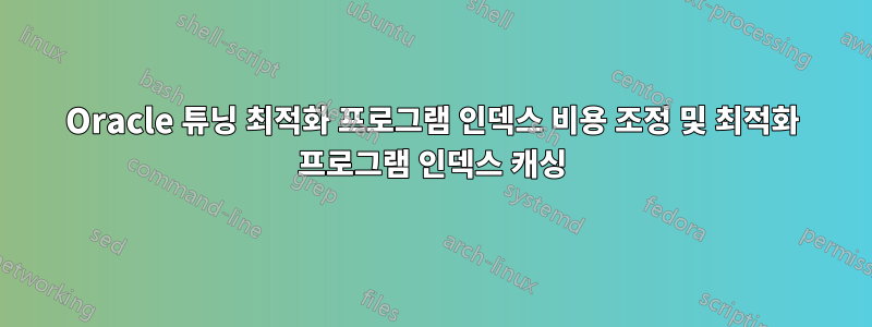 Oracle 튜닝 최적화 프로그램 인덱스 비용 조정 및 최적화 프로그램 인덱스 캐싱