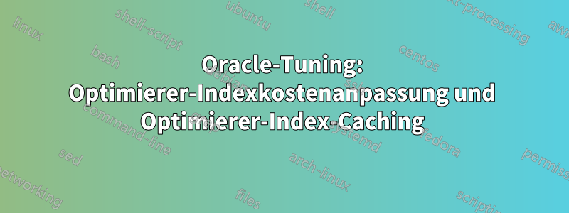 Oracle-Tuning: Optimierer-Indexkostenanpassung und Optimierer-Index-Caching