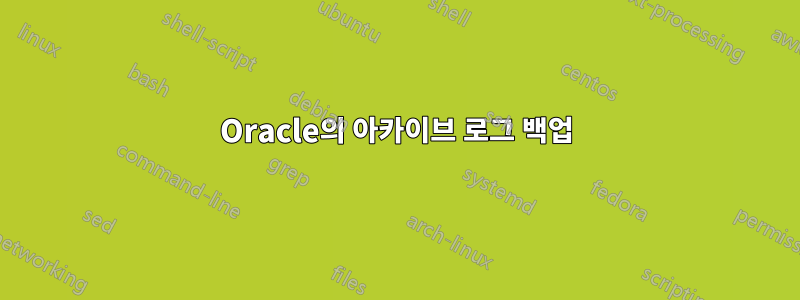 Oracle의 아카이브 로그 백업