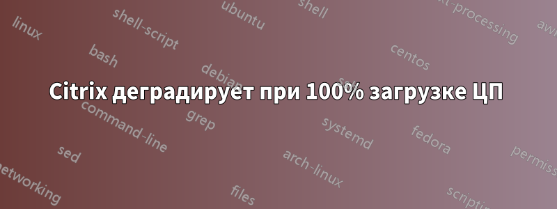 Citrix деградирует при 100% загрузке ЦП