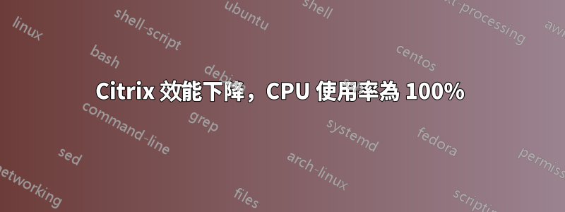 Citrix 效能下降，CPU 使用率為 100%