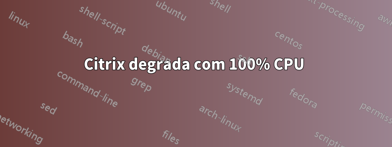 Citrix degrada com 100% CPU