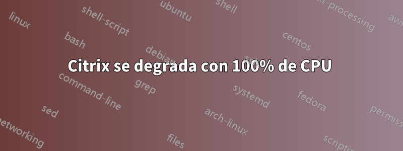 Citrix se degrada con 100% de CPU