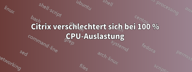 Citrix verschlechtert sich bei 100 % CPU-Auslastung