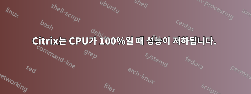Citrix는 CPU가 100%일 때 성능이 저하됩니다.