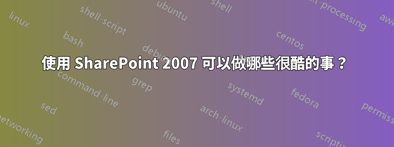 使用 SharePoint 2007 可以做哪些很酷的事？