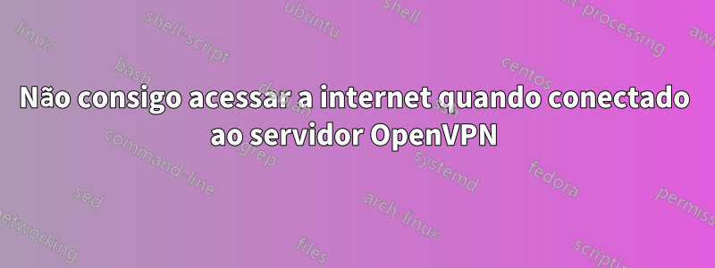 Não consigo acessar a internet quando conectado ao servidor OpenVPN