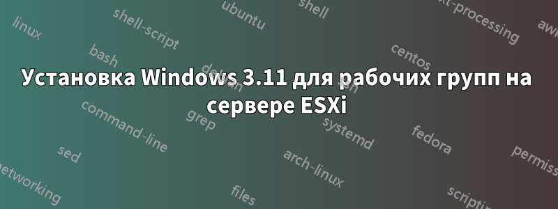 Установка Windows 3.11 для рабочих групп на сервере ESXi
