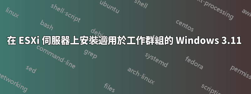 在 ESXi 伺服器上安裝適用於工作群組的 Windows 3.11