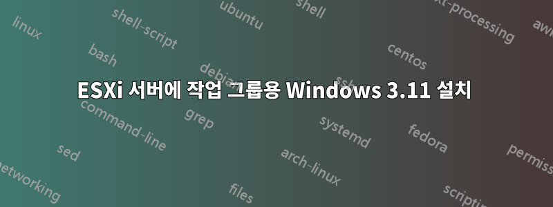 ESXi 서버에 작업 그룹용 Windows 3.11 설치