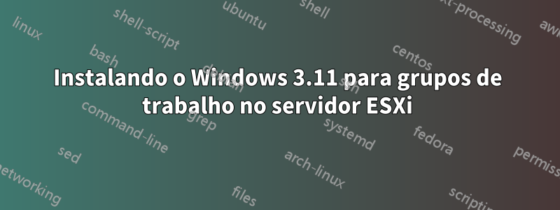 Instalando o Windows 3.11 para grupos de trabalho no servidor ESXi