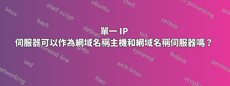 單一 IP 伺服器可以作為網域名稱主機和網域名稱伺服器嗎？