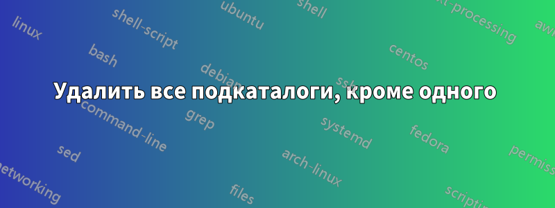 Удалить все подкаталоги, кроме одного