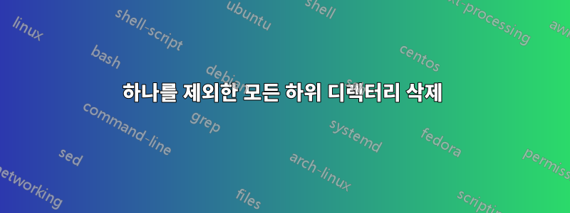 하나를 제외한 모든 하위 디렉터리 삭제