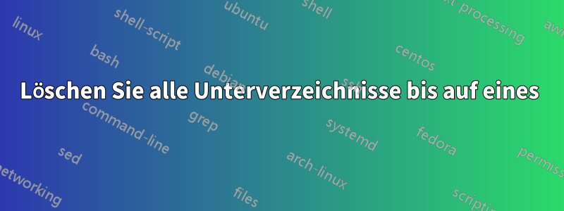 Löschen Sie alle Unterverzeichnisse bis auf eines