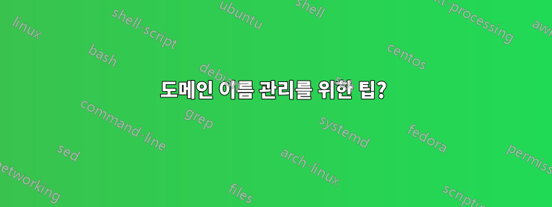 도메인 이름 관리를 위한 팁?