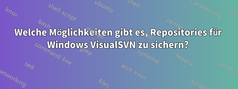 Welche Möglichkeiten gibt es, Repositories für Windows VisualSVN zu sichern?