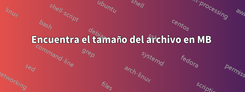 Encuentra el tamaño del archivo en MB
