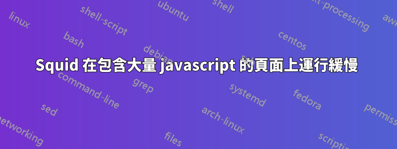 Squid 在包含大量 javascript 的頁面上運行緩慢