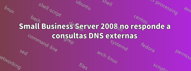 Small Business Server 2008 no responde a consultas DNS externas