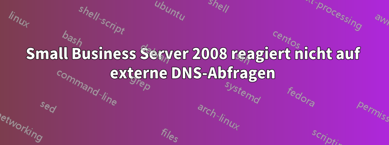 Small Business Server 2008 reagiert nicht auf externe DNS-Abfragen