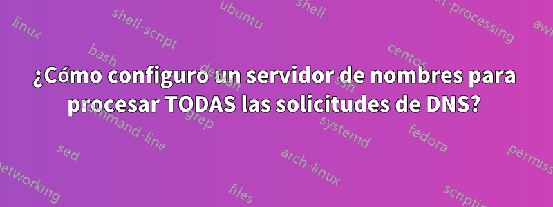 ¿Cómo configuro un servidor de nombres para procesar TODAS las solicitudes de DNS?