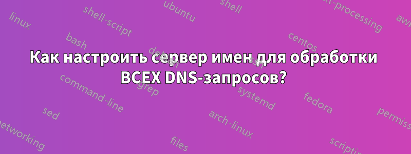 Как настроить сервер имен для обработки ВСЕХ DNS-запросов?