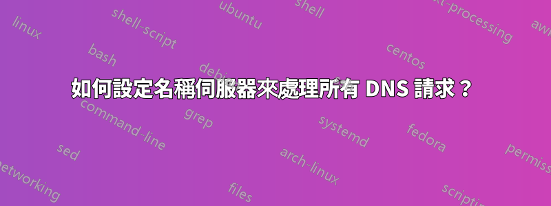 如何設定名稱伺服器來處理所有 DNS 請求？