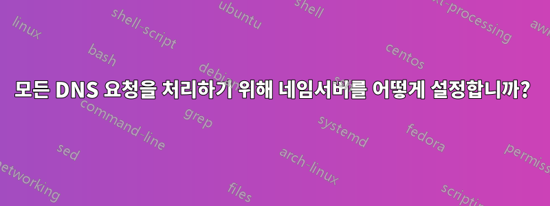 모든 DNS 요청을 처리하기 위해 네임서버를 어떻게 설정합니까?
