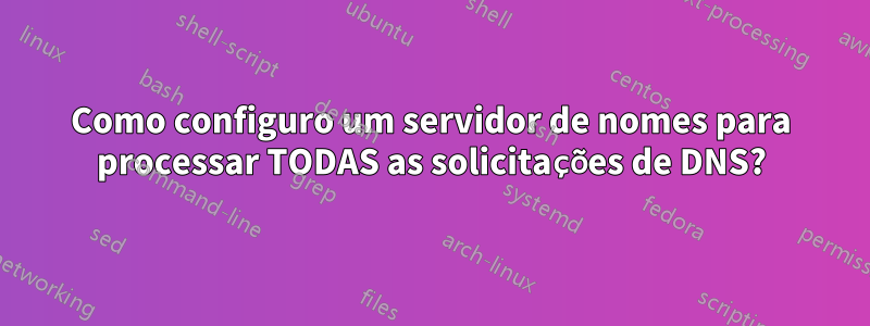 Como configuro um servidor de nomes para processar TODAS as solicitações de DNS?