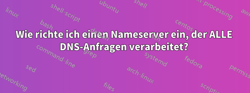 Wie richte ich einen Nameserver ein, der ALLE DNS-Anfragen verarbeitet?