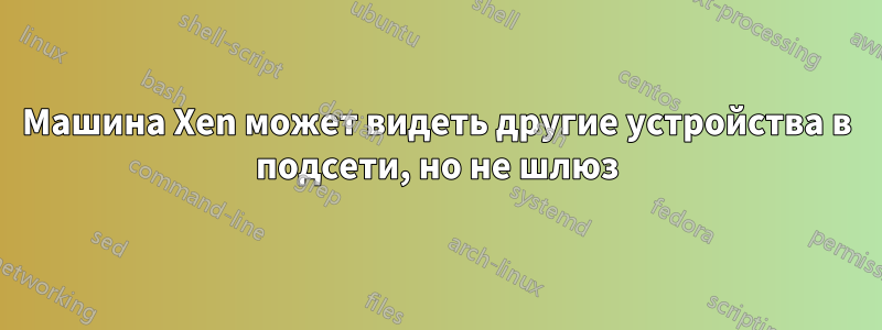 Машина Xen может видеть другие устройства в подсети, но не шлюз