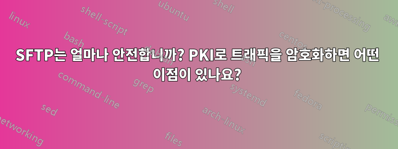 SFTP는 얼마나 안전합니까? PKI로 트래픽을 암호화하면 어떤 이점이 있나요?