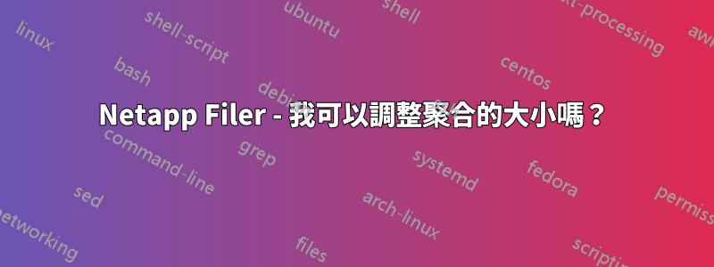 Netapp Filer - 我可以調整聚合的大小嗎？