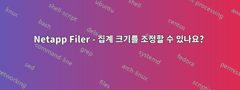 Netapp Filer - 집계 크기를 조정할 수 있나요?