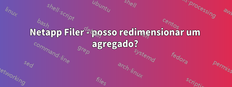 Netapp Filer - posso redimensionar um agregado?