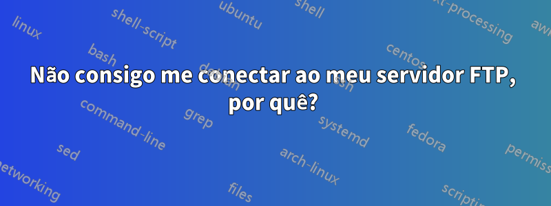 Não consigo me conectar ao meu servidor FTP, por quê?