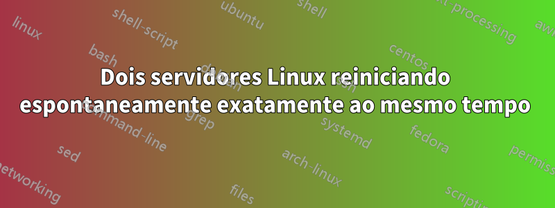 Dois servidores Linux reiniciando espontaneamente exatamente ao mesmo tempo