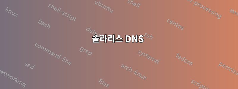 솔라리스 DNS