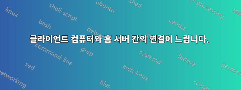 클라이언트 컴퓨터와 홈 서버 간의 연결이 느립니다.