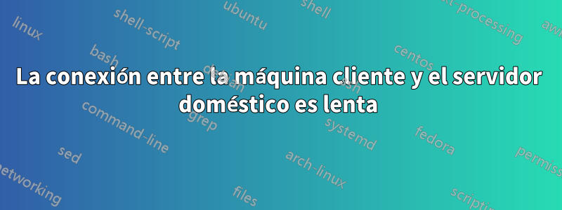 La conexión entre la máquina cliente y el servidor doméstico es lenta