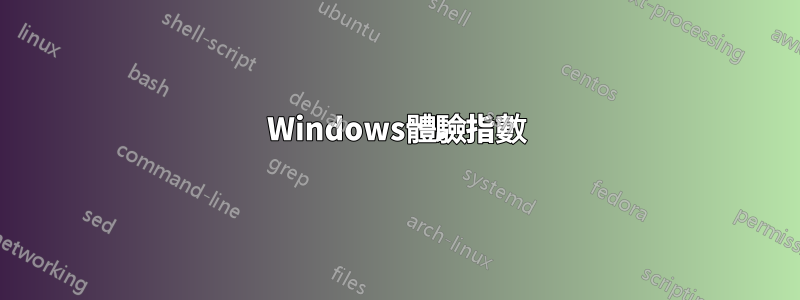 Windows體驗指數