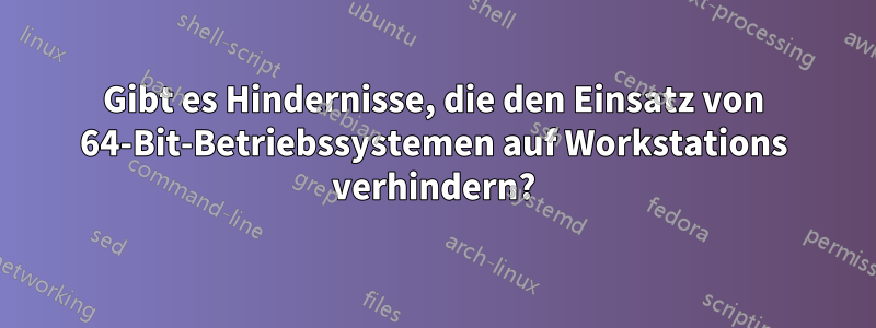 Gibt es Hindernisse, die den Einsatz von 64-Bit-Betriebssystemen auf Workstations verhindern?