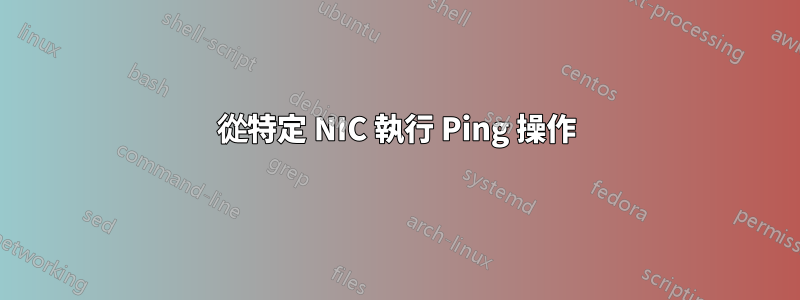 從特定 NIC 執行 Ping 操作