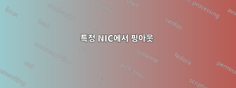 특정 NIC에서 핑아웃